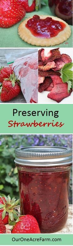 Strawberry Preservation Methods: Jam, Freezing, and Syrup Packs